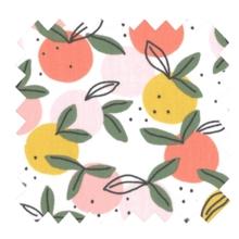 Cotton fabric ex2519 white peach round of fruits