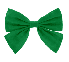 Bow tie hair slide bright green
