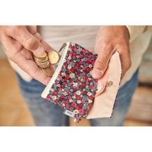 zipper pouch card purse tapis rouge