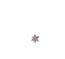 Star flower hairslide serenade fluo