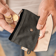zipper pouch card purse suédine pailletée or